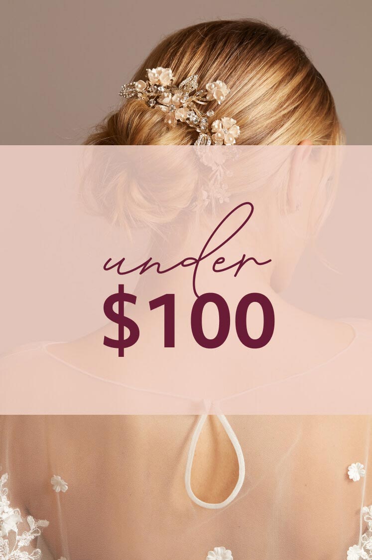 back of bride with under $100 overlay