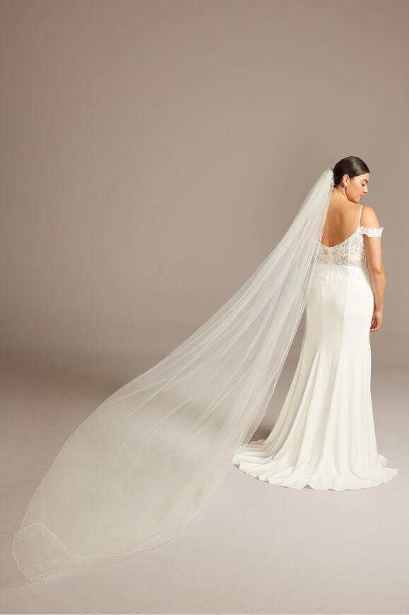 back of bride wearing a wedding dress showing off long veil