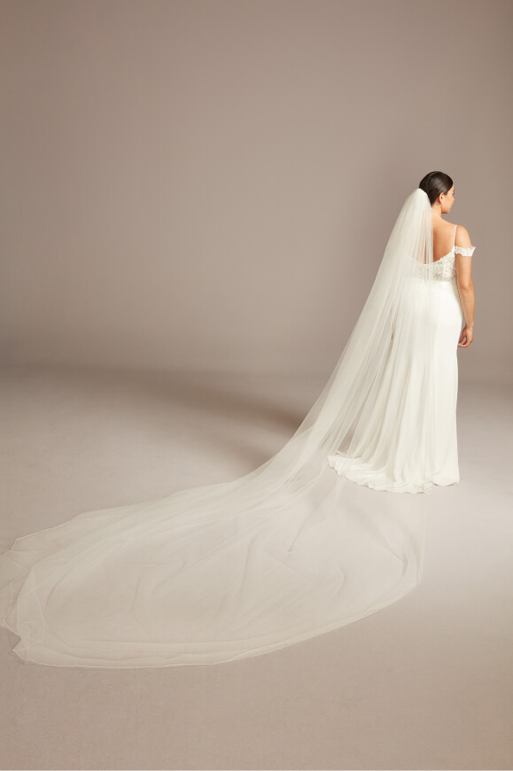 back of bride wearing a wedding dress showing off long train veil