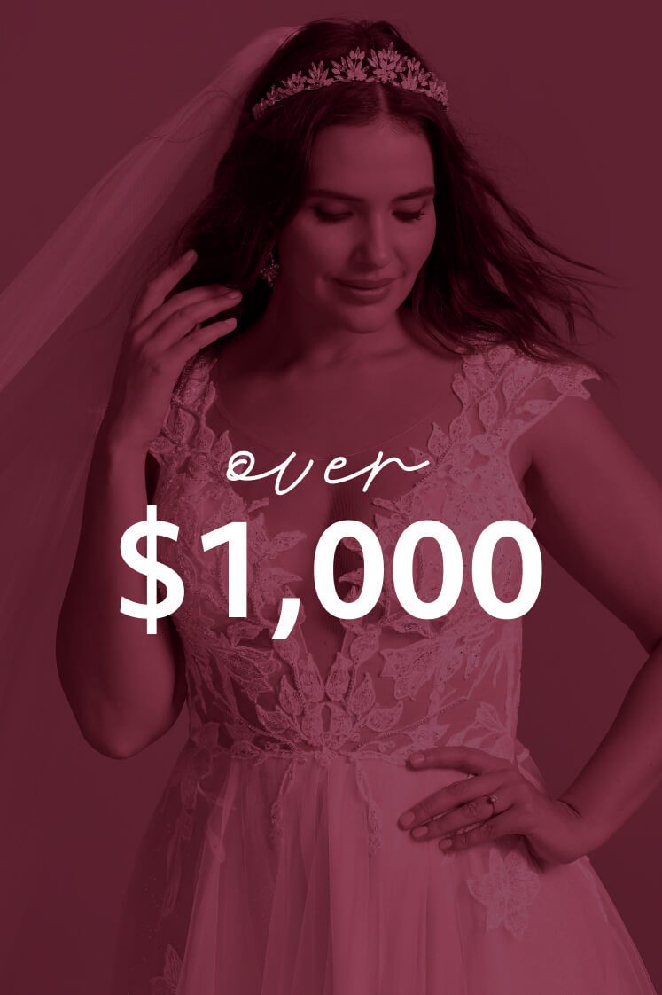 bride in dress with over $1,000 overlay