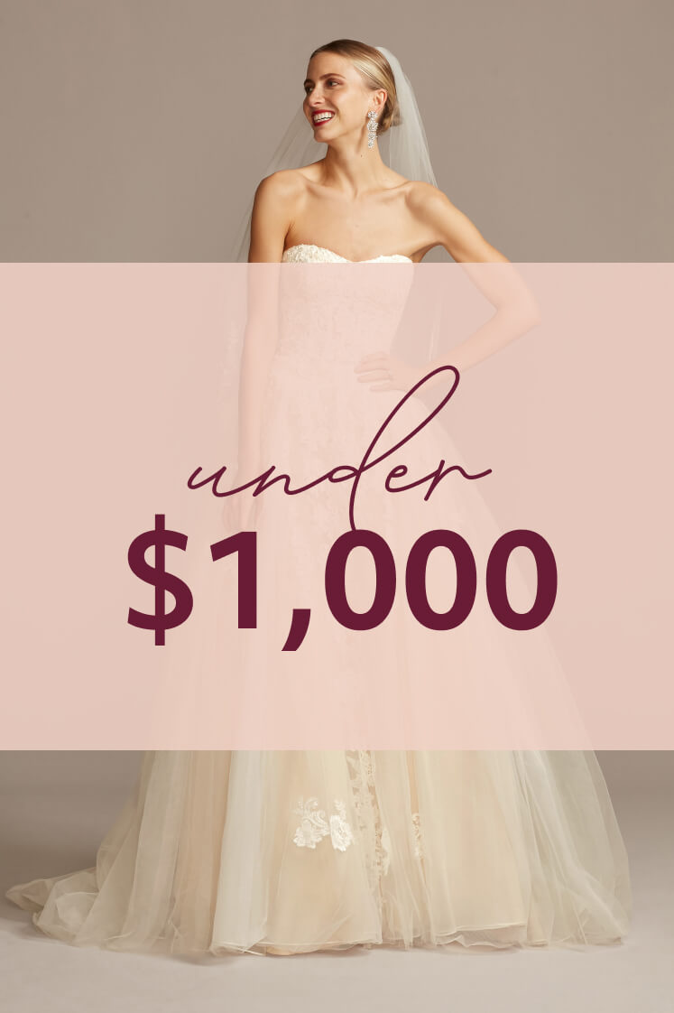 bride in dress with under $1,000 overlay