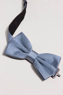 closeup of blue bowtie