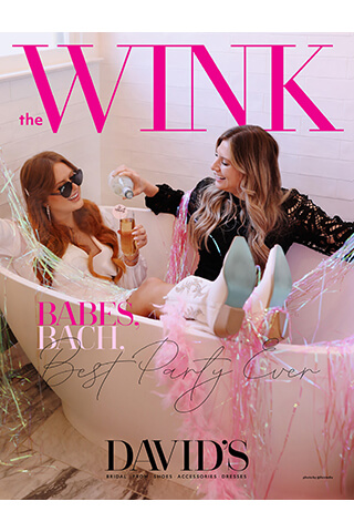 the wink accessories book cover