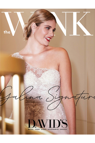 the wink galina sig book cover