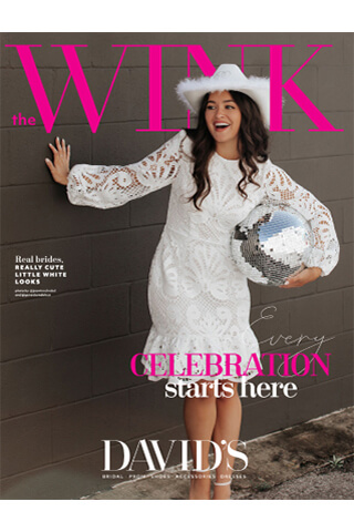 the wink little white dress cover