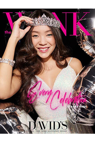 the wink prom book cover