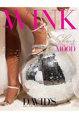 the wink shoes book cover